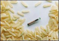 a microchip next to rice