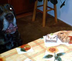 Neo Mastiff singing