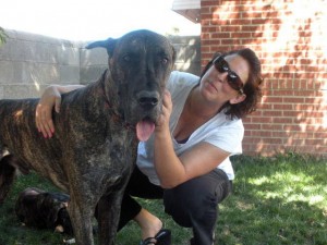 Great Dane and his human 