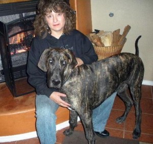 Dr Kim and her Great Dane Meshach