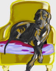 Meshach the Great Dane in his chair