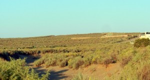 Desert arroyo walk