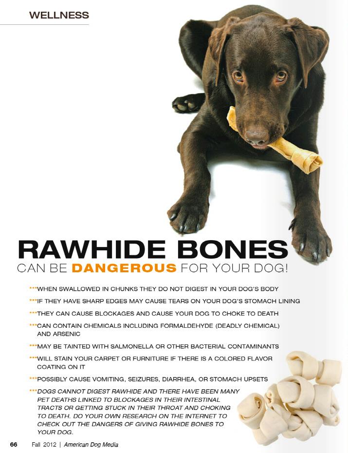 Feed Raw REAL Bones