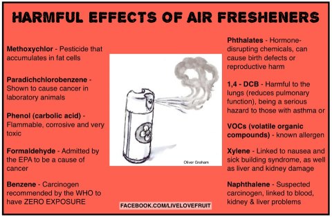 Toxic Air Fresheners