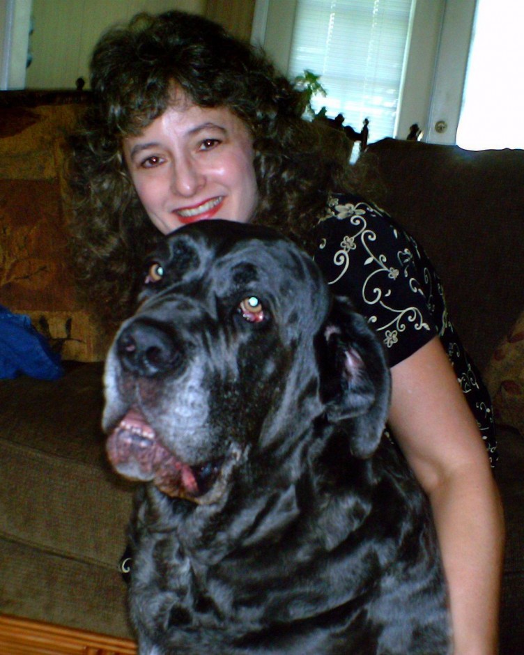 Dr Kim Bloomer with her Neo Mastiff Shadrach