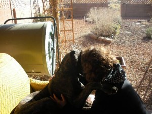 Great Dane Puppy Hugging Human