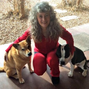 Dr Kim with her American Bully and Carolina Dog