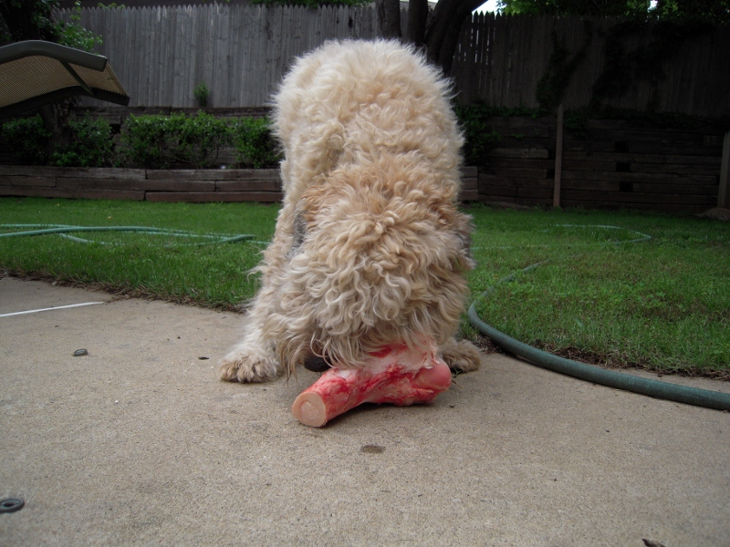 Duffy_eating_his_RMB