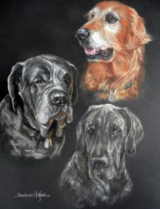 Painting of 3 dogs by Barbara J. Hilford