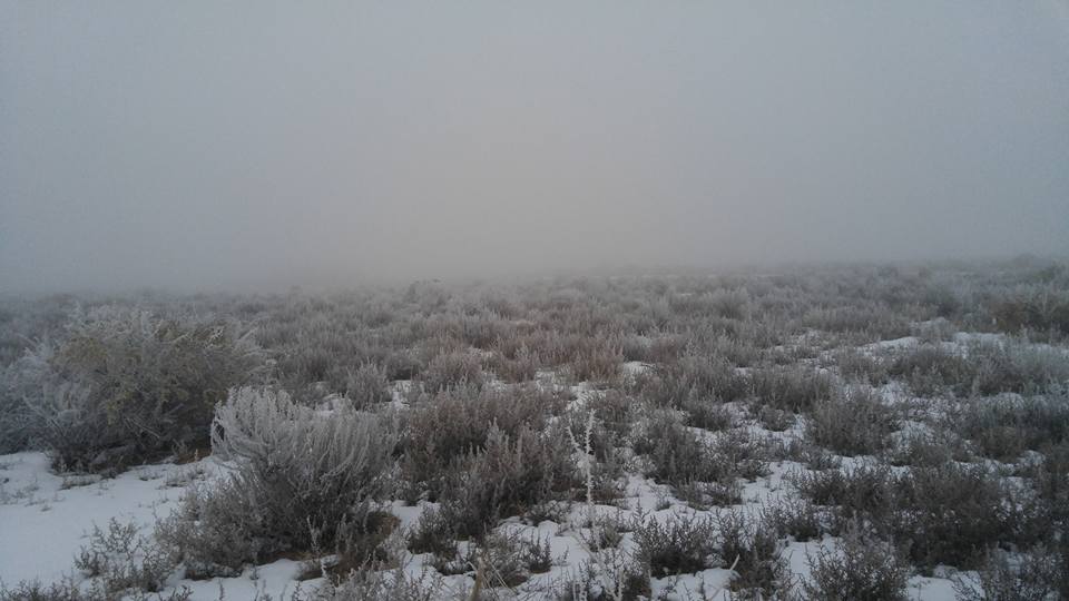 Sunrise_Fog_12302015_3