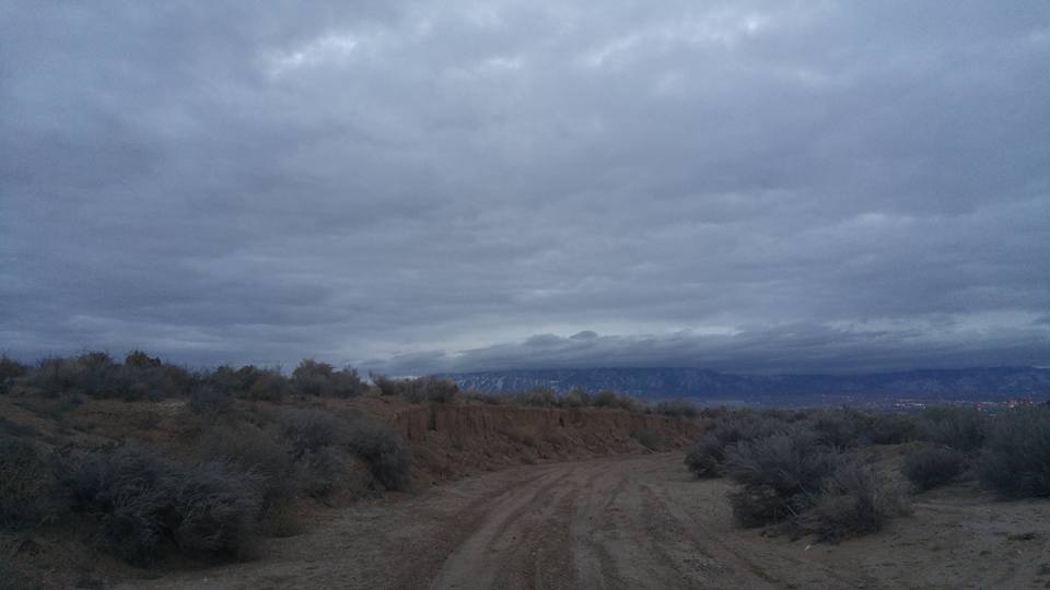 Sandias_01202016