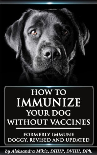 How To Immunize Your Dog Without Vaccines