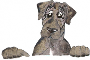 Meshach Puppy