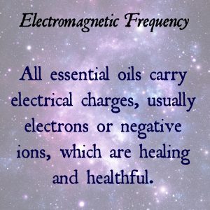 Electromagnetic fields