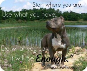 Start Where You Are