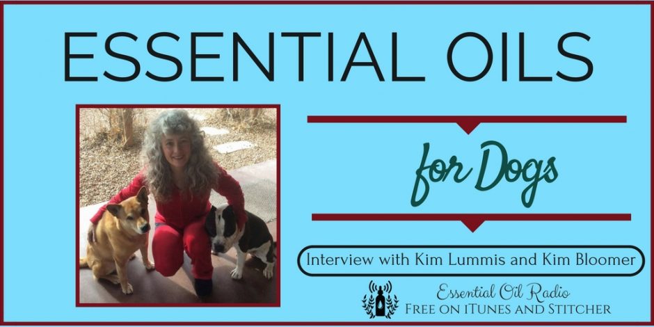 Essential Oils for Dogs