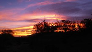 Burning Bush Sunrise 2016 by Dr. Kim Bloomer