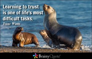 trust