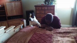 American Bully dog praying with owner