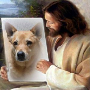 Jesus showing Carolina Dog