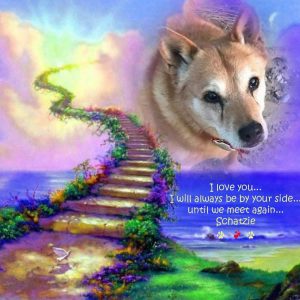 Farewell from Carolina Dog