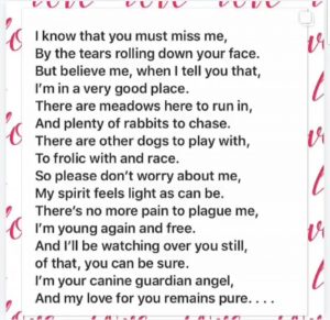 Dog loss poem