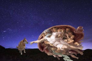 Carolina Dog touching heaven