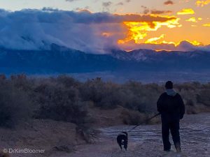 dawn walks in NM