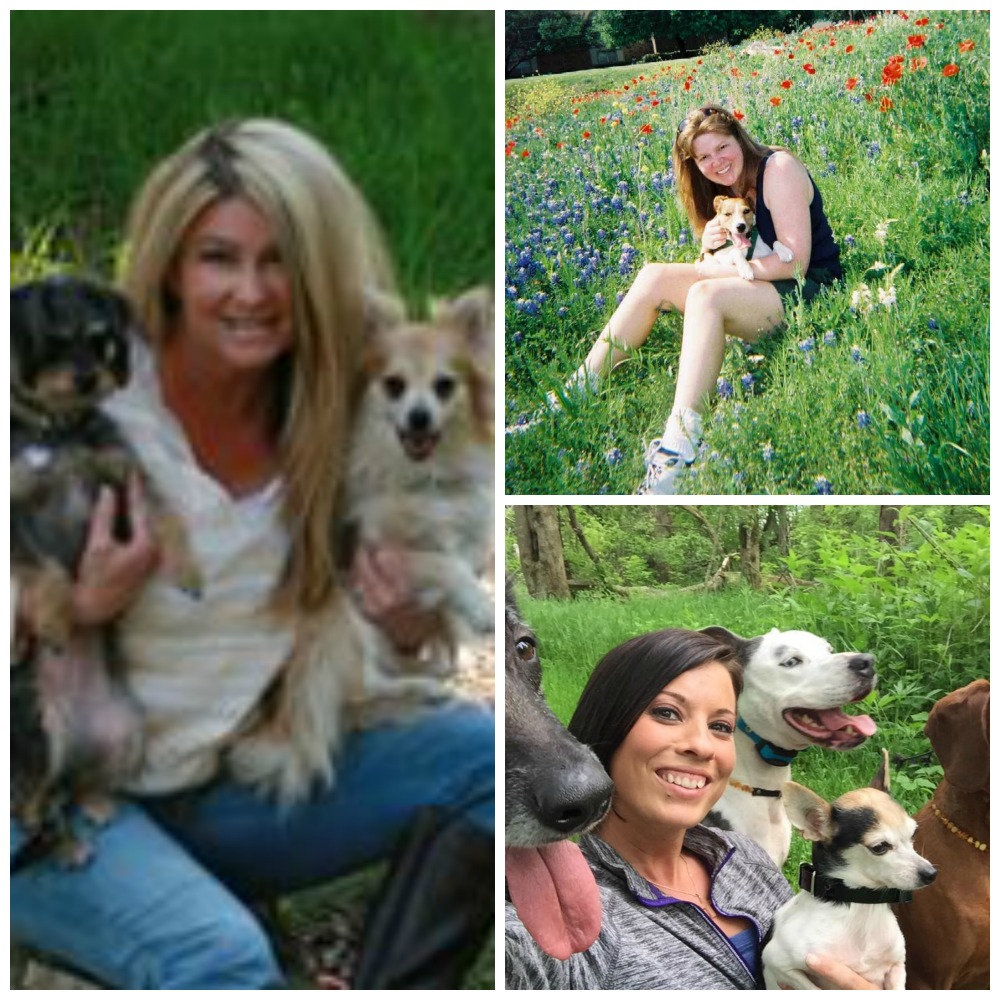 DogTeamCollage Oily Girls