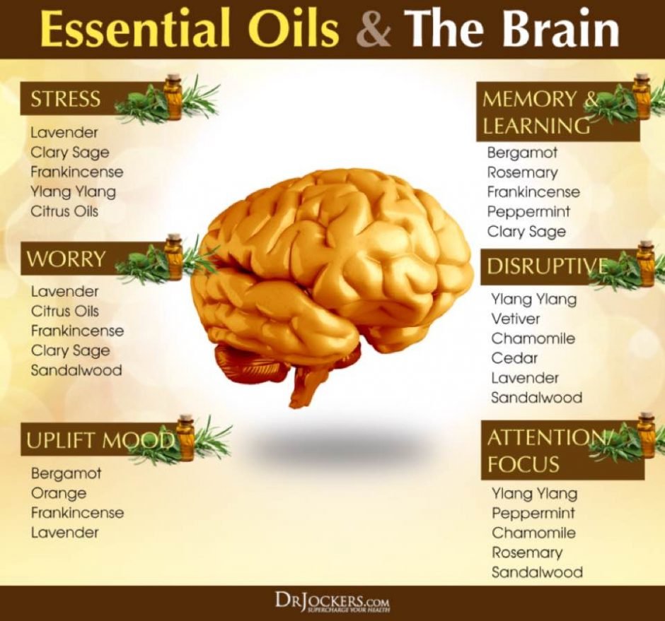 Essential Oils and the Brain