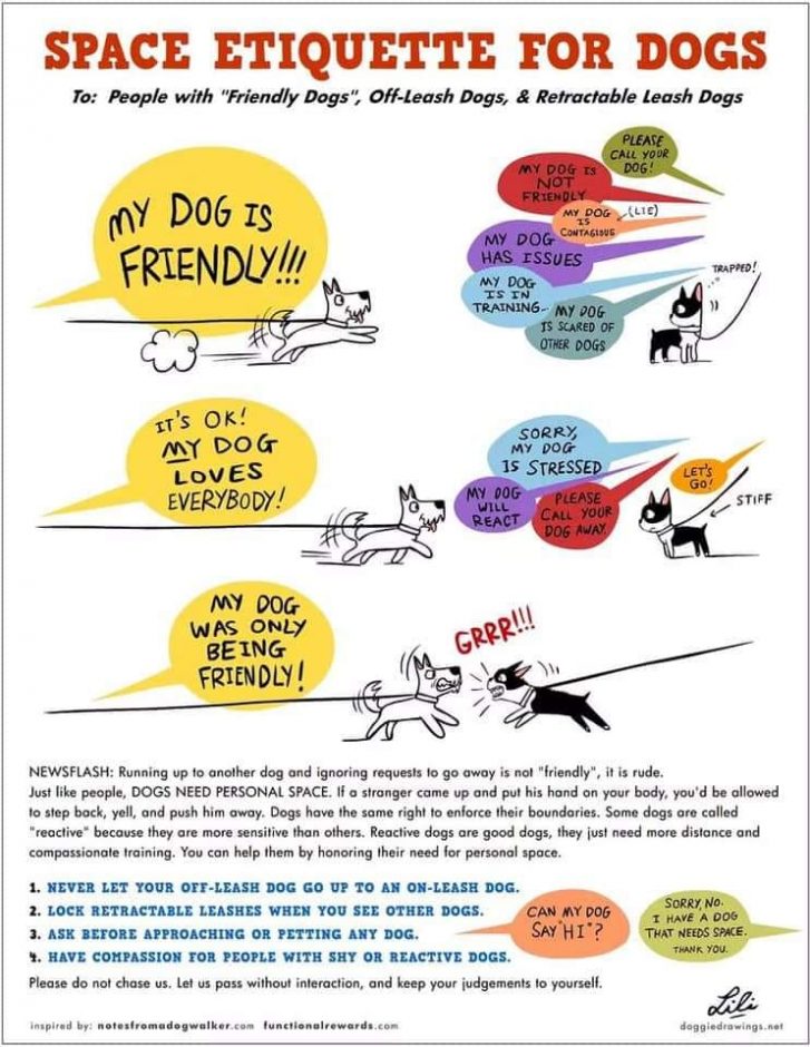 Space etiquette for dogs