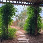 backyard patio view