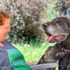 Wendy Lovas and Great Danes