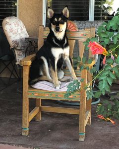 King Ezra