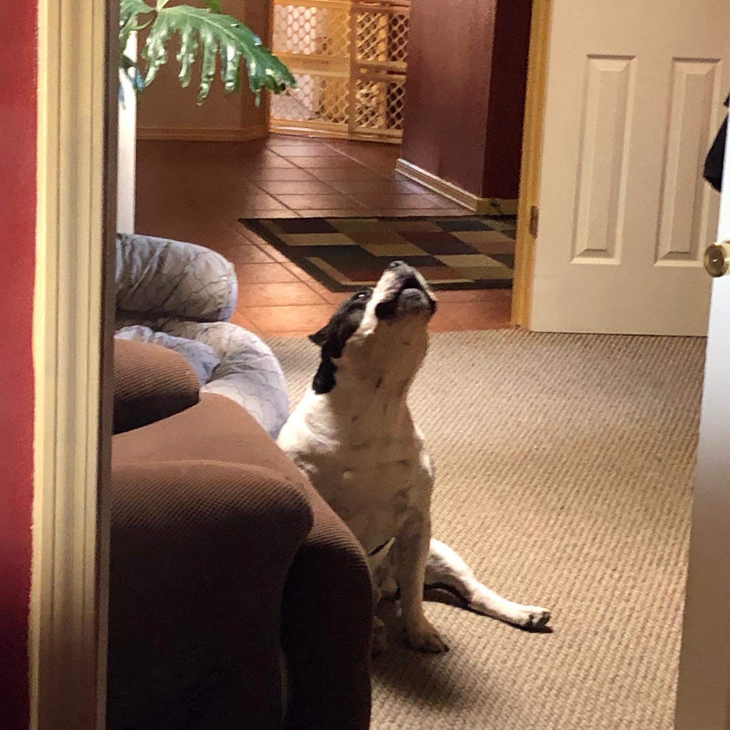 The Howling Game