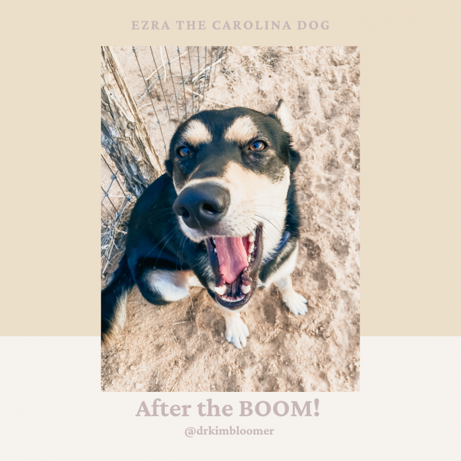 After the Boom