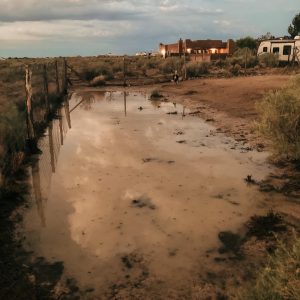 Backyard desert flood