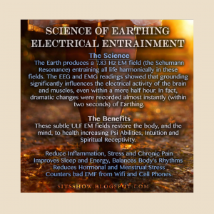 entrainment2