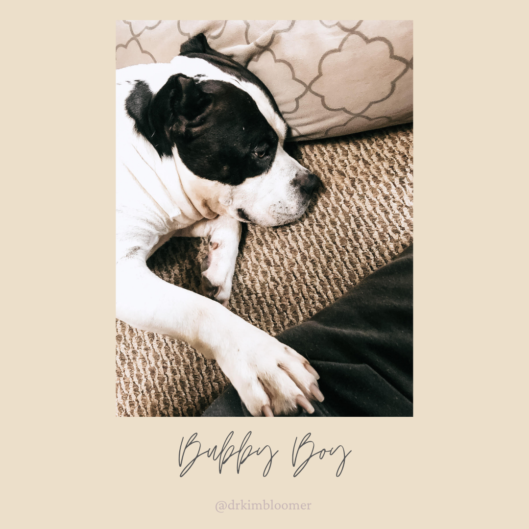 Aspenbloom Pet Care
