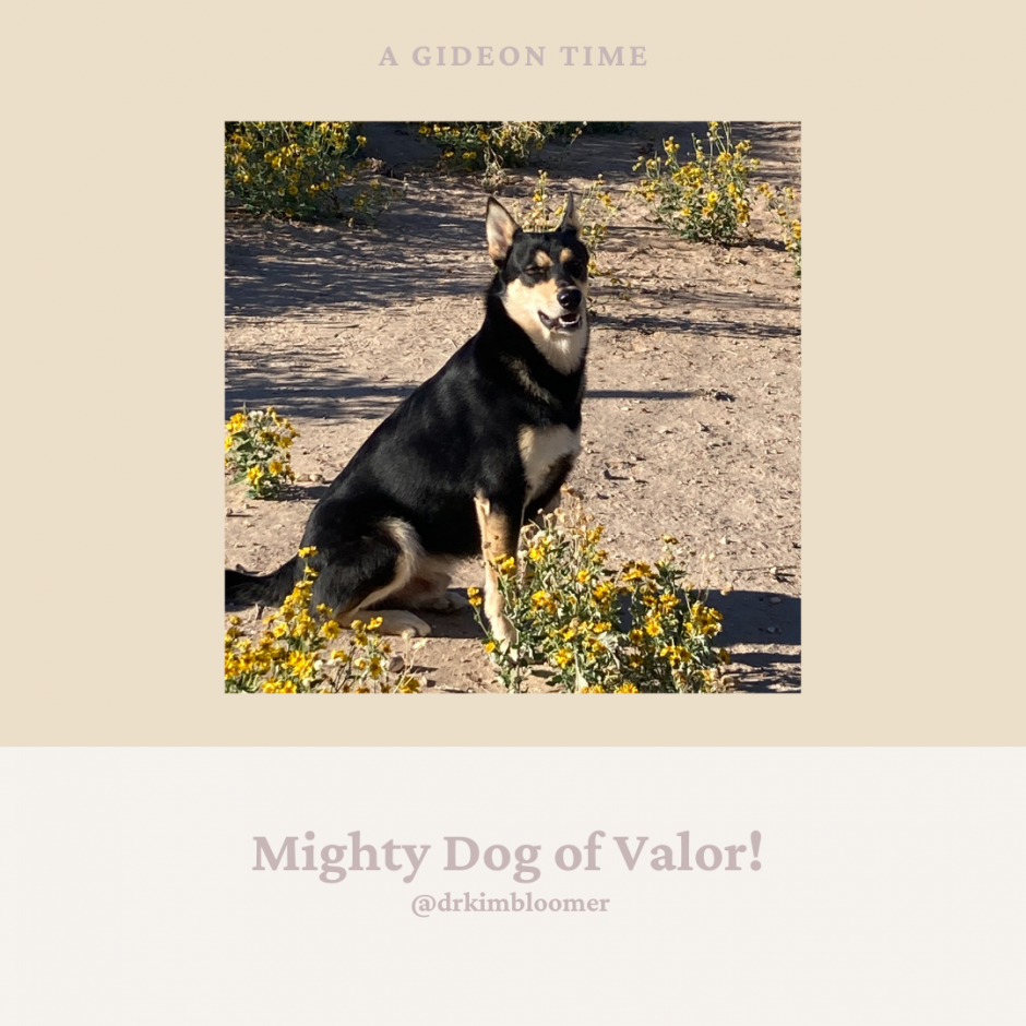 Mighty Dog of Valor