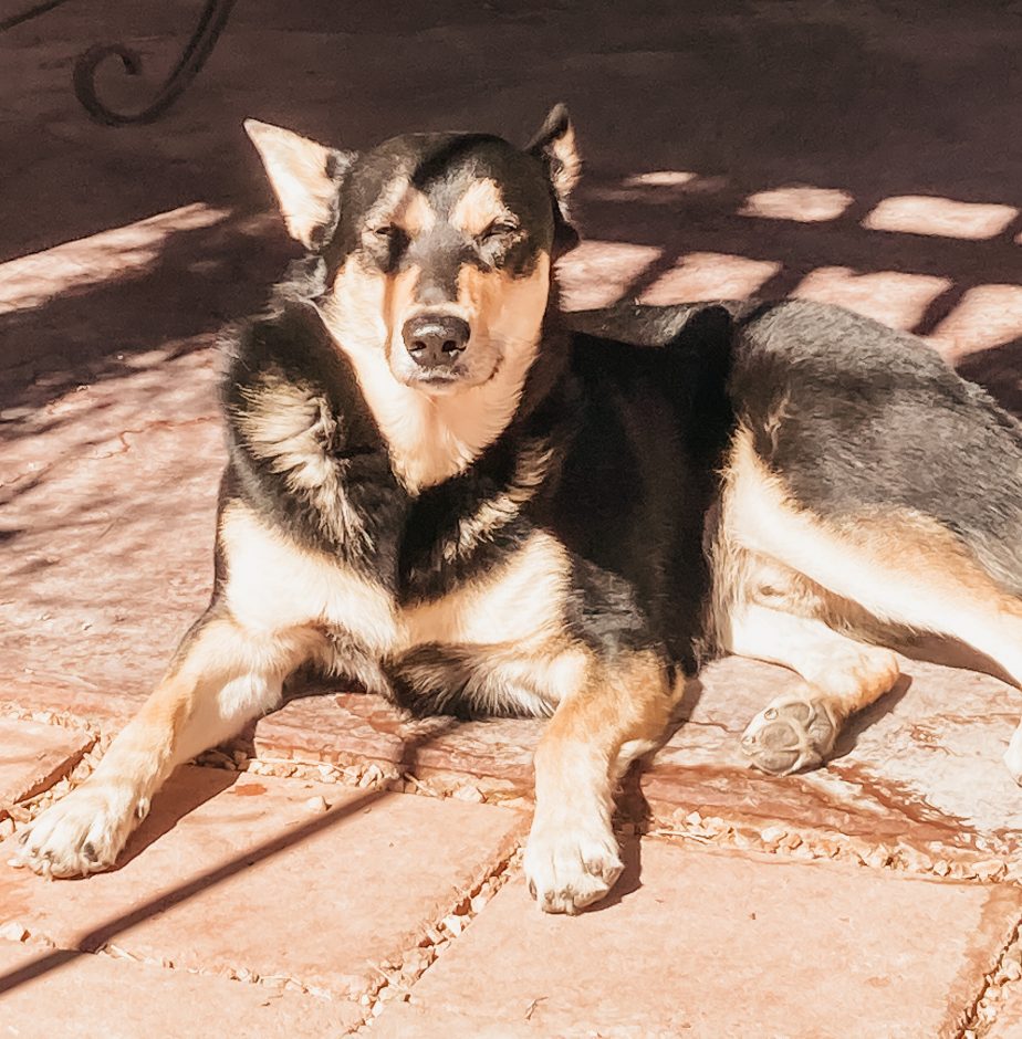Ezra Sunbathing