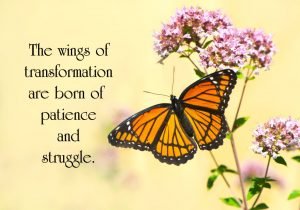 Wings of Transformation