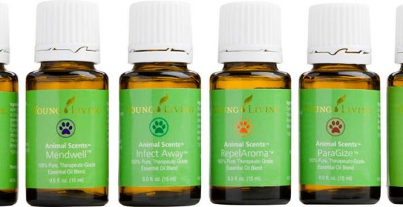 Essential Oils & Supplements