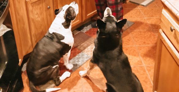 Begging or Believing?