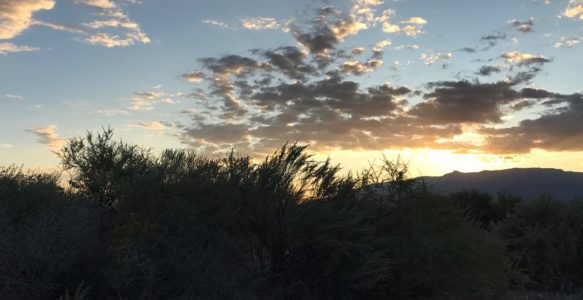 Arise and Shine!