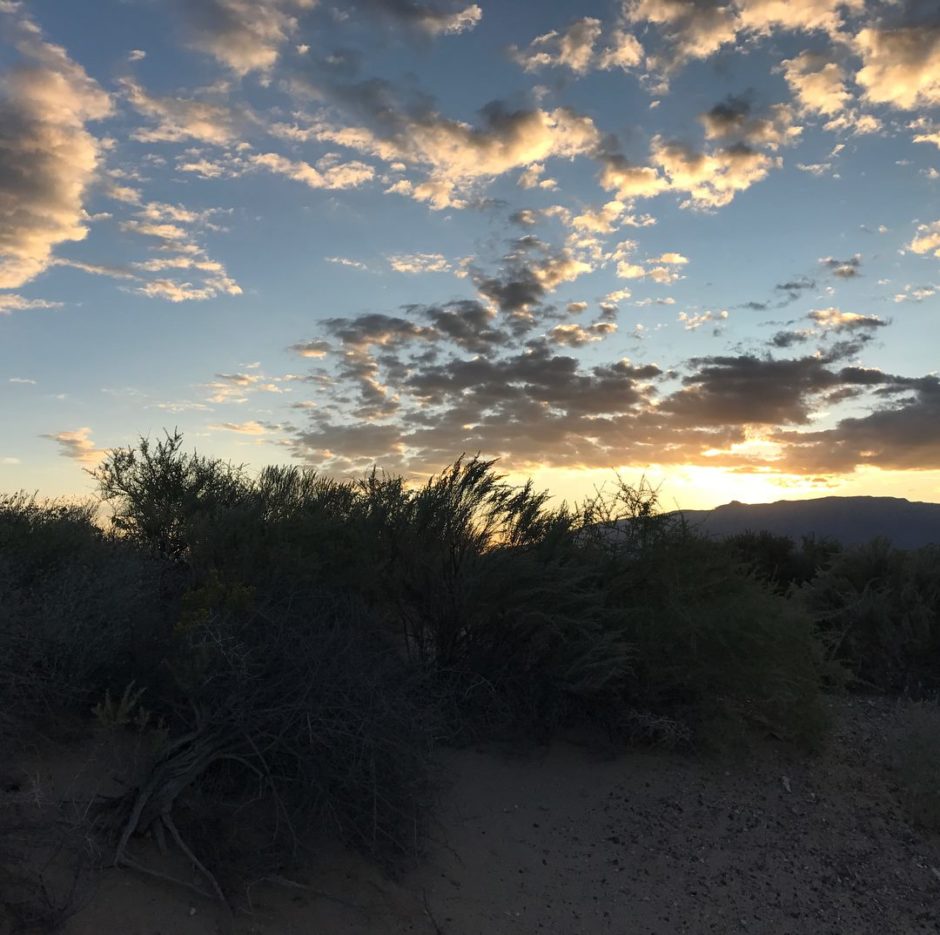 sunrise in NM