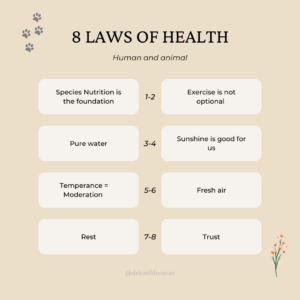 8 Laws of Health