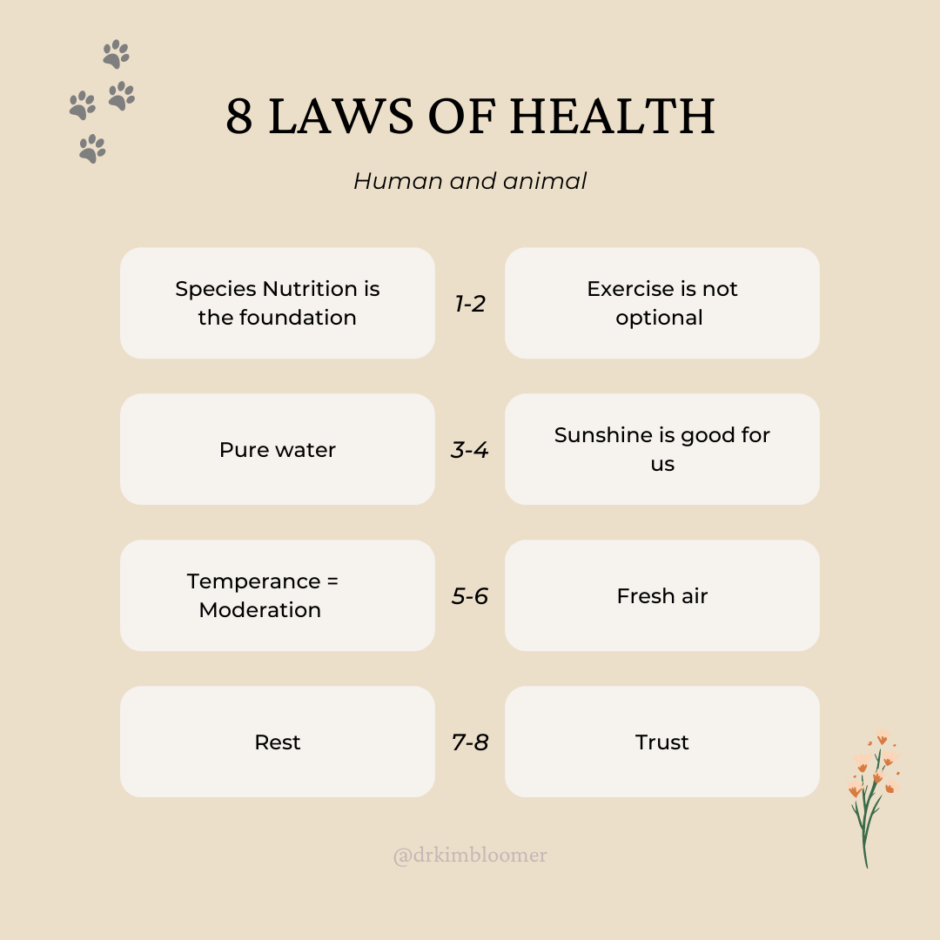 8 Laws of Health