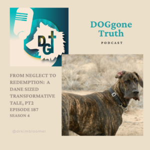 Transformative Dog Tale