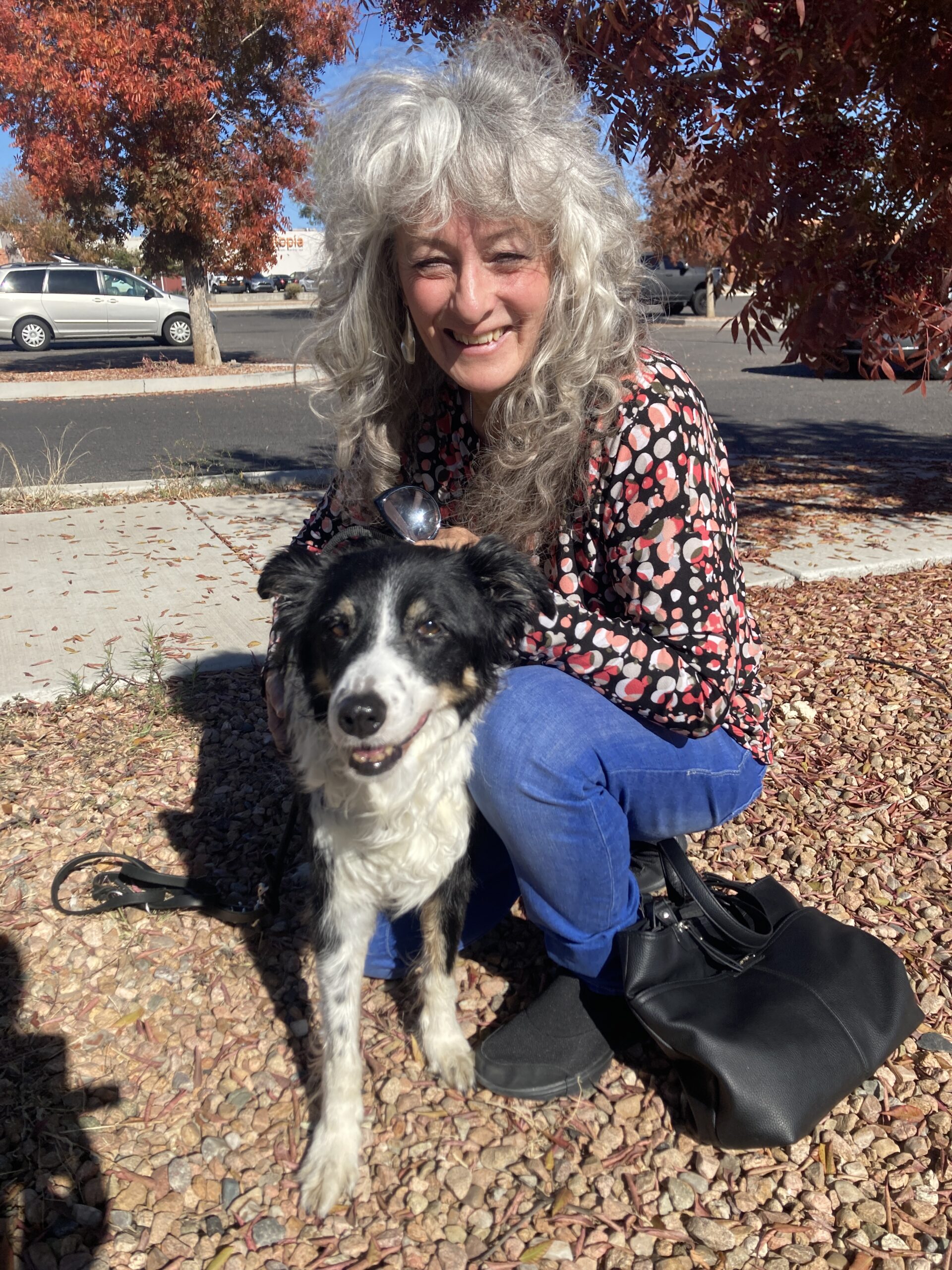 Aspenbloom Pet Care